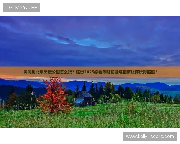 大型赛事预热期玩球防骗避坑指南